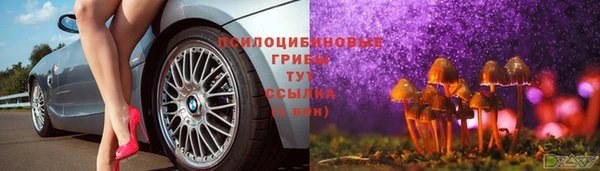 ГАЛЛЮЦИНОГЕННЫЕ ГРИБЫ Карталы