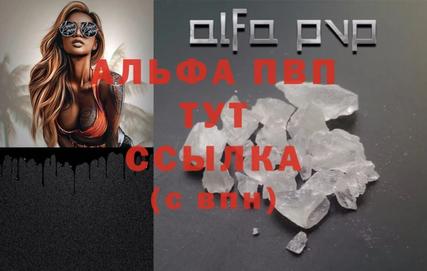 гидропоника Каменногорск